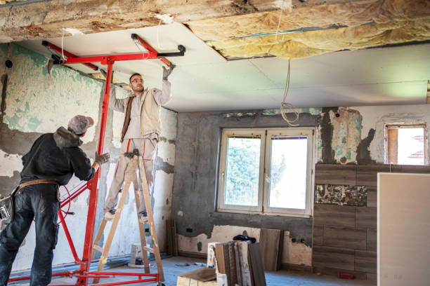 Best Insulation Maintenance and Repair in Lauderdale By The Sea, FL